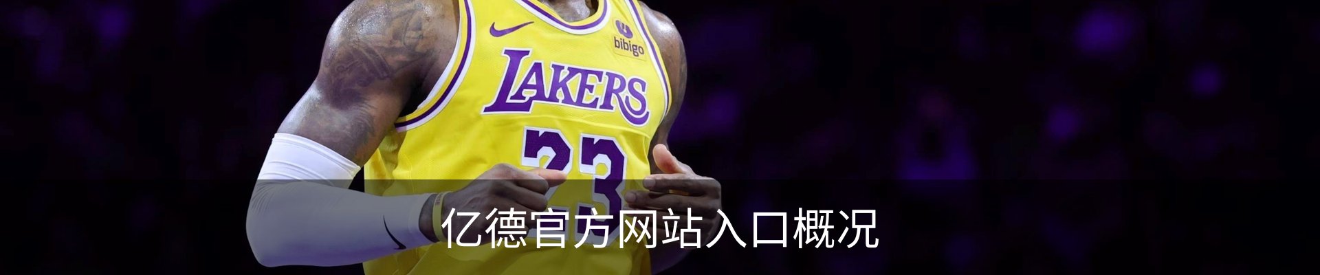 亿德官方网站入口概况